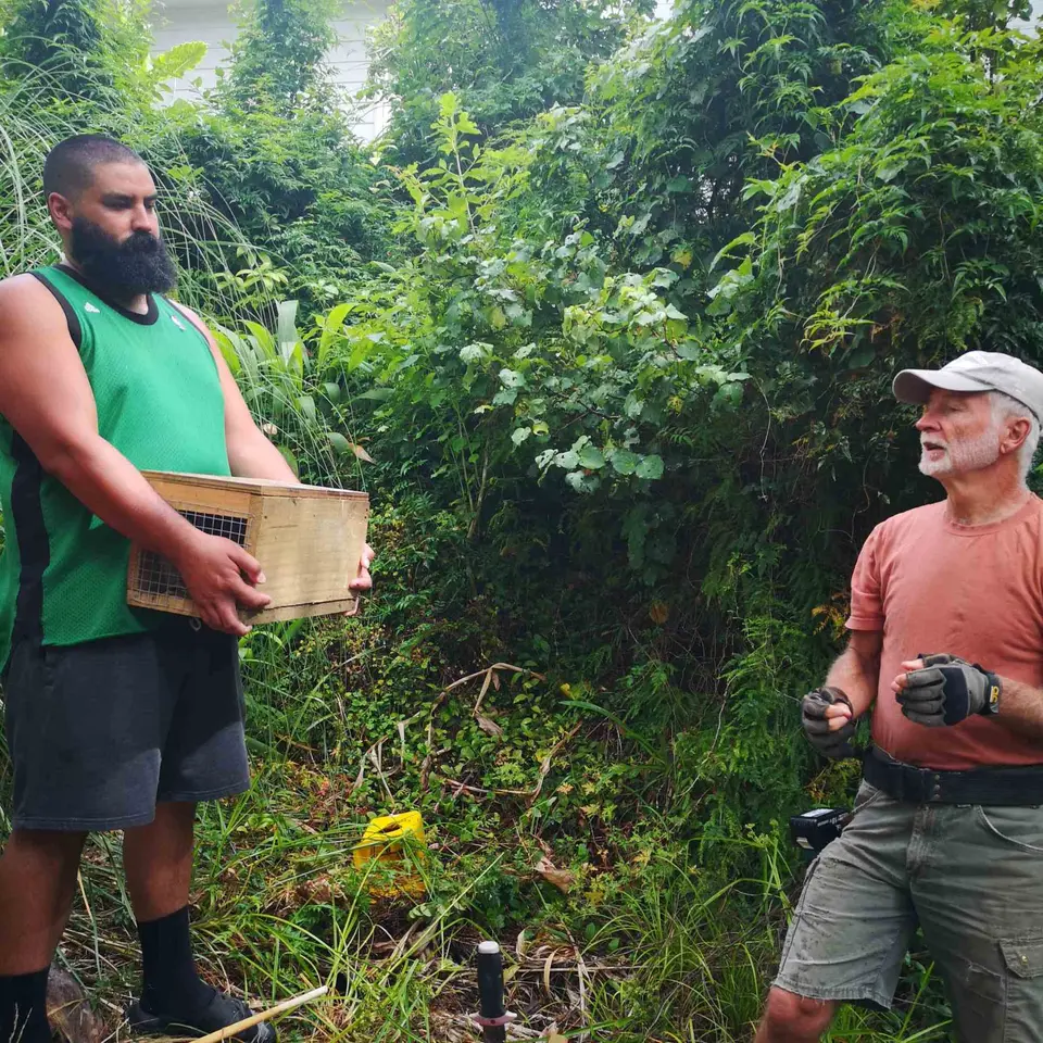Mathew Hakaraia and Brian Bramell prepare to set a stoat trap on iwi land
