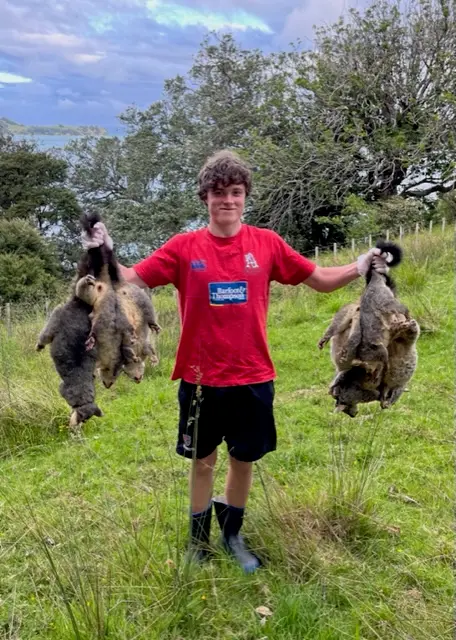 A young volunteer holding up two trapped possums